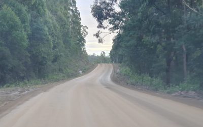 Government working to minimise impact of Tasman Highway closure